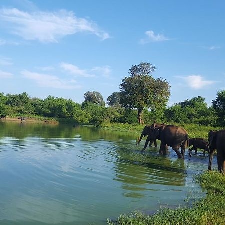 Kuma Safari Lodge Udawalawe Εξωτερικό φωτογραφία