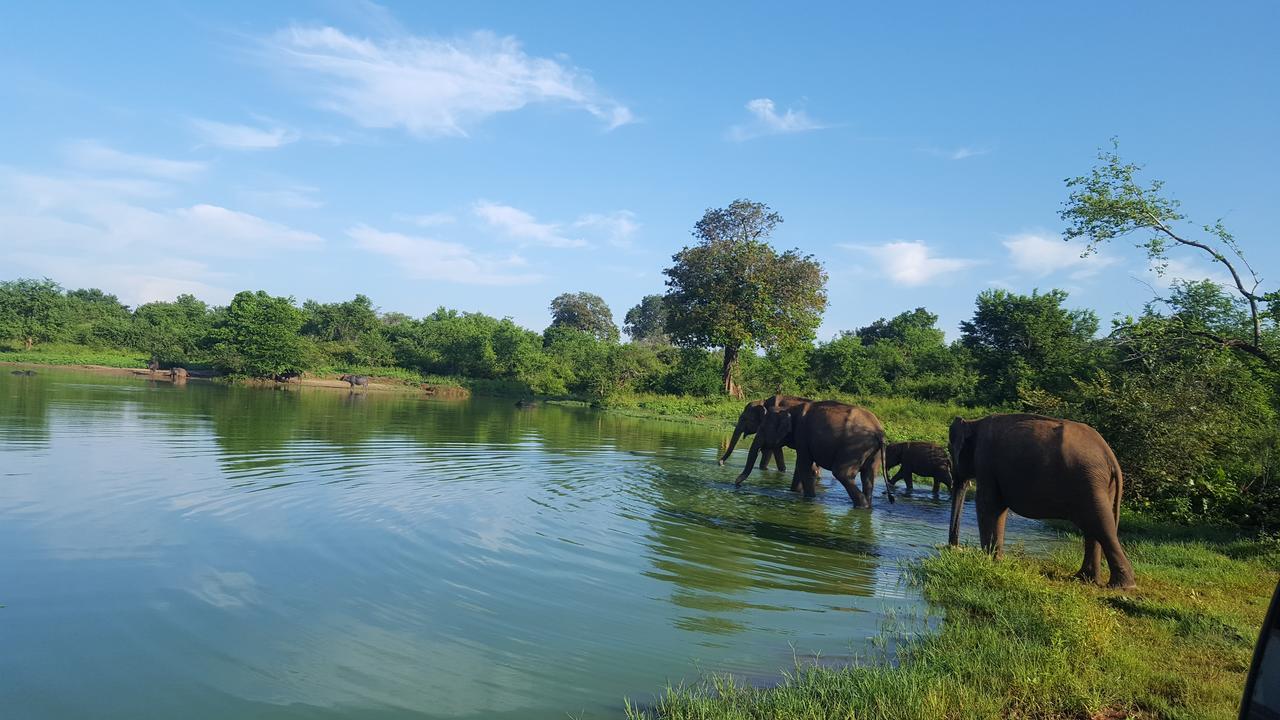 Kuma Safari Lodge Udawalawe Εξωτερικό φωτογραφία